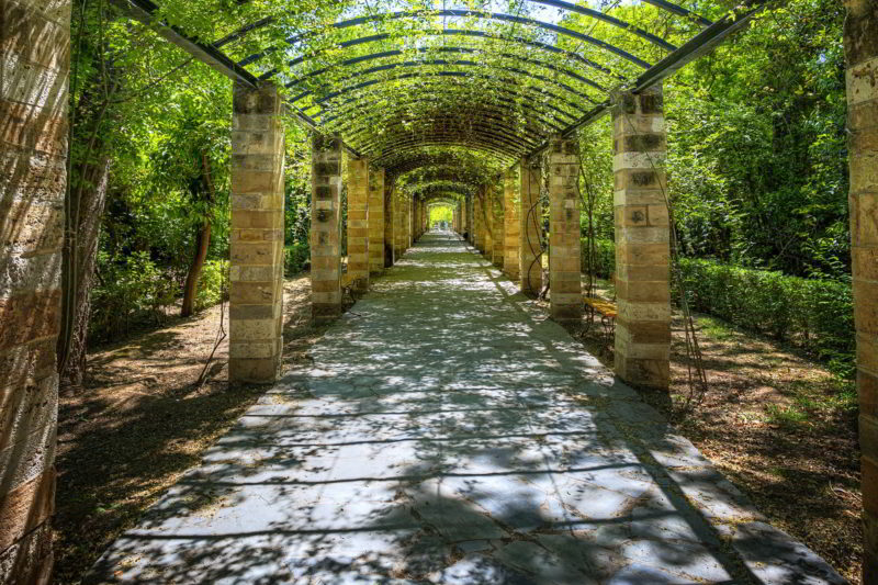 the-national-garden-of-athens-near-syntagma.jpg